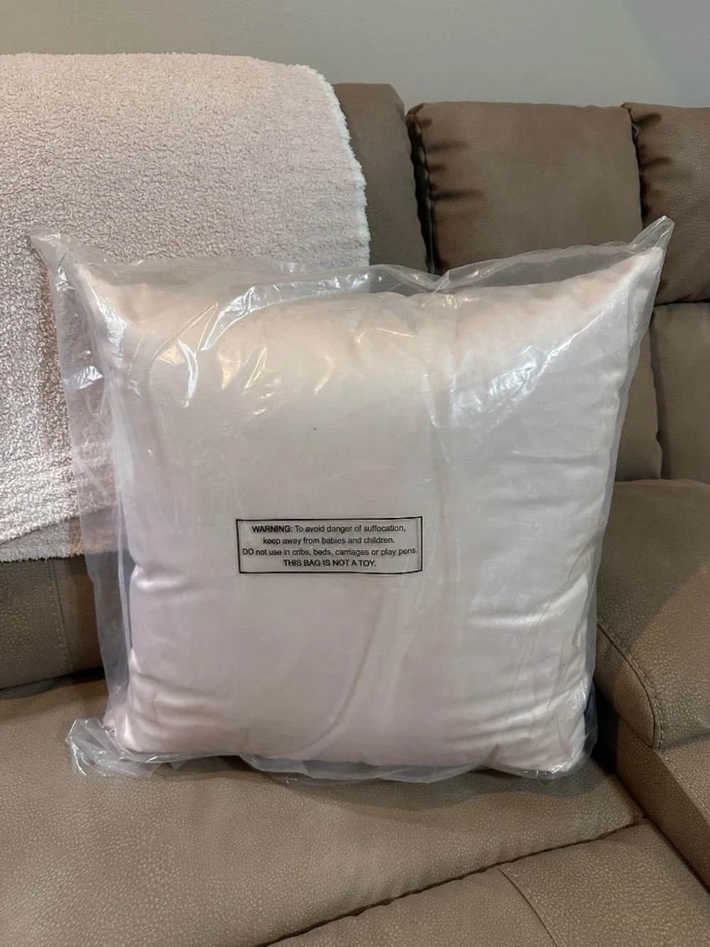 Rifle Paper Co large botanical pillow